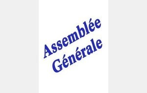 ASSEMBLEE GENERALE Section Tir à l'Arc Vendredi 17 janvier2014